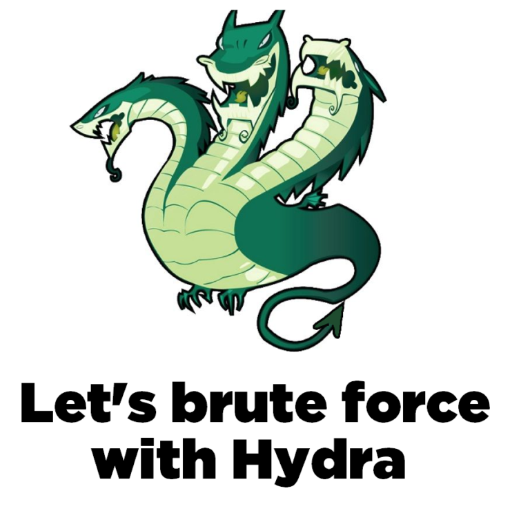 Hydra and bruteforce tor proxy browser гидра