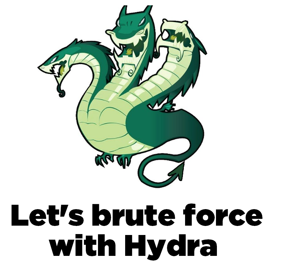 Brute force with hydra!